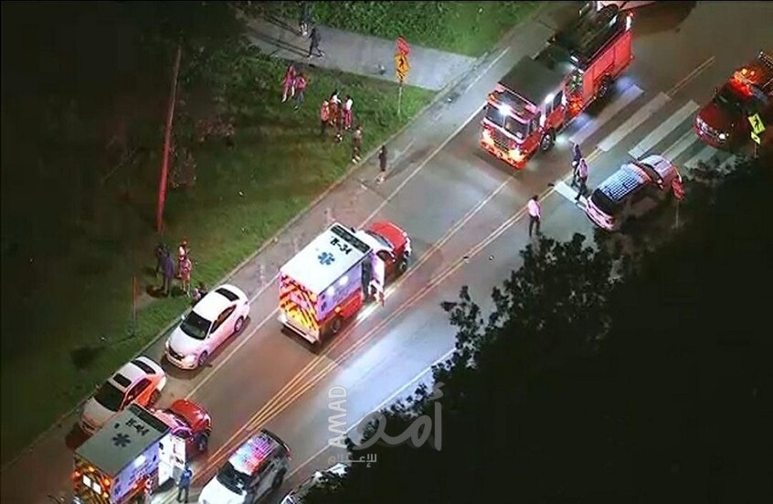 صورة أرشفية