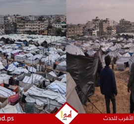 قناة: "ملادينوف" يقدم مقترحاً جديداً في مفاوضات غزة - تفاصيل