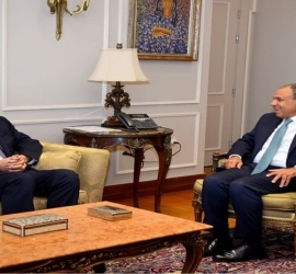 وزير خارجية مصر يدعو لبدء عمل لجنة إدارة غزة من الداخل