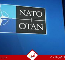 البيت الأبيض: ترامب يدرس انسحاب أمريكا من الناتو