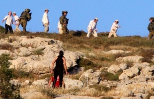 مستوطنون إرهابيون يهاجمون قرية المغير