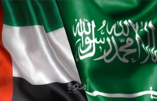 صحيفة: دول الخليج خاصة السعودية والإمارات تستعد لدخول الحرب ضد إيران