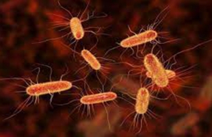 علامات مبكرة تكشف عدوى جرثومة المعدة.. لا تتجاهلها