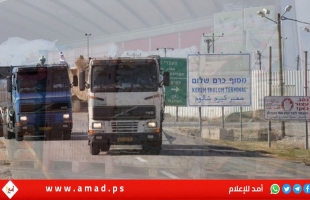 انطلاق 200 شاحنة مساعدات إلى معبر كرم أبو سالم لدخول قطاع غزة