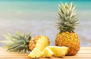 أغلى فاكهة أناناس في العالم؟ تعرف