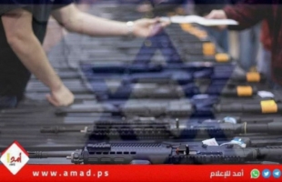 قيود ميرتس تتسبب في وقف تام لتصدير الأسلحة الألمانية إلى إسرائيل