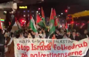 صحيفة: طلاب ينظمون اعتصاما مؤيدا لفلسطين في جامعة "بادوا" الإيطالية