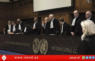 ردود فعل عربية وعالمية عقب قرار محكمة العدل الدولية بشأن غزة