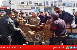 الصحة: ارتفاع ضحايا الحرب العدوانية على قطاع غزة الى 44,382 شهيدا