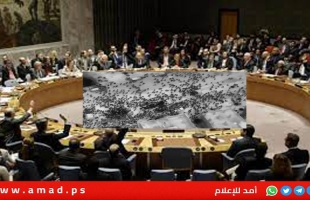 في مجلس الأمن..ممثل الأمم المتحدة يحذّر من تقويض حل الدولتين ومنصور يصرخ