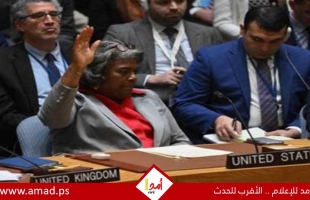 فيتو أمريكي يفشل مشروع قرار بمنح فلسطين العضوية الكاملة في الأمم المتحدة