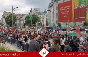 مسيرات حاشدة في عدد من مدن العالم لإحياء ذكرى "النكبة" ووقف حرب الابادة في غزة- صور