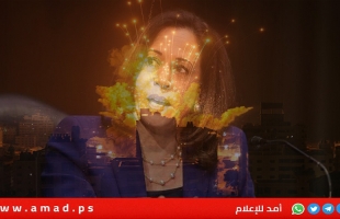 بعد "كارثة جباليا"..هاريس تطالب إسرائيل باحترام القانون الإنساني الدولي في قطاع غزة