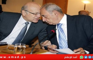 ميقاتي وبري يناشدن العالم الوقوف مع لبنان ضد العدوان الإسرائيلي