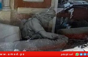 إعلام عبري ينشر تفاصيل جديدة حول اغتيال السنوار: رصاصة في الرأس- فيديو