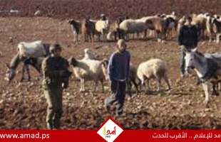 خبراء أمميون: إسرائيل تستخدم "إرهاب المستوطنين" كأداة لتسريع التطهير العرقي وضم الضفة