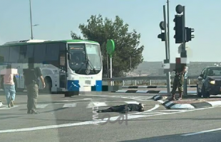 أنباء عن إطلاق نار في مستوطنة شيلو في الضفة الغربية - فيديو