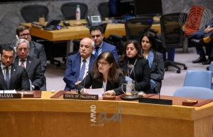 شاهين تدعو مجلس الأمن إلى منح دولة فلسطين العضوية الكاملة في الأمم المتحدة