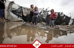 في مجلس الأمن..دول أوروبية: لا مكان لحماس في مستقبل غزة