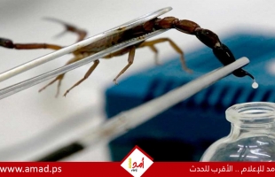 سم العقرب.. أمل واعد في مواجهة سرطان قاتل يصيب النساء