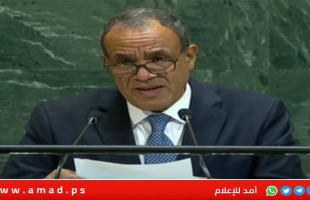 عبد العاطي: قتل المدنيين في غزة مدفوع بإيدلوجية متطرفة