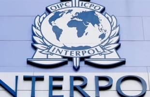 "الإنتربول" يبحث عن فك لغز مقتل 46 امرأة: الجثث موجودة والقصص مفقودة