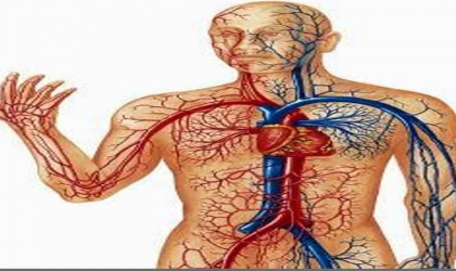علامات مبكرة وإسعافات أولية لمريض الجلطة