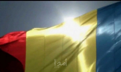 مرشح اليمين المتطرف يتصدر الدورة الأولى من الانتخابات الرئاسية في رومانيا