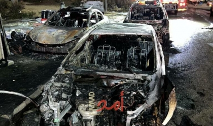 مستوطنون إرهابيون يحرقون سيارات ويطلقون النيران على مواطنين في البيرة- فيديو