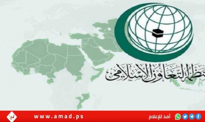محدث -في لقاء جدة.."التعاون الإسلامي" تؤكد مركزية القضية الفلسطينية