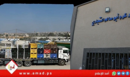 إحباط محاولة تهريب مئات الكيلوغرامات من التبغ إلى غزة عبر كرم أبو سالم-فيديو