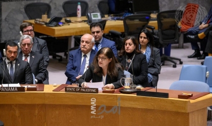 شاهين تدعو مجلس الأمن إلى منح دولة فلسطين العضوية الكاملة في الأمم المتحدة