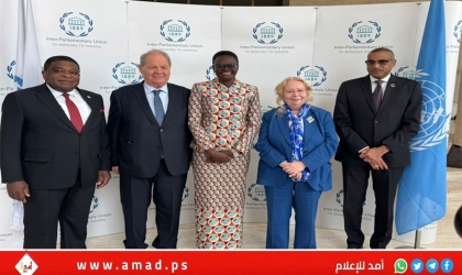 فتوح يلتقي عدد من وفد برلمانية دولية ضمن تحرك تحرك مكثف ضد حرب الإبادة