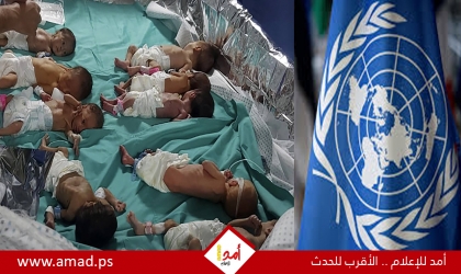 الشيخ يرحب ببيان دولي رافض لقرار دولة الاحتلال ضد المنظمات الإنسانية