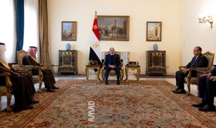الرئاسة المصرية تعلن تطابق المواقف مع السعودية بشأن وحدة السودان واليمن والصومال