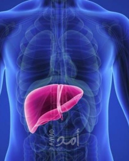 5 طرق مدعومة علميًا لعلاج مرض الكبد الدهني بشكل طبيعي