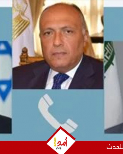 شكري: استمرار التصعيد العسكري ينذر بخروج الوضع عن السيطرة وتهديد استقرار المنطقة