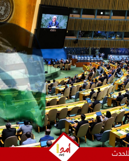 إعلان نيويورك: خطوات ملموسة ومحددة زمنيًا من أجل تسوية سلمية لقضية فلسطين وتنفيذ حل الدولتين